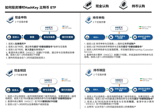 对数字货币的解读_全球用户对数字货币的接受度分析_全球货币数字化