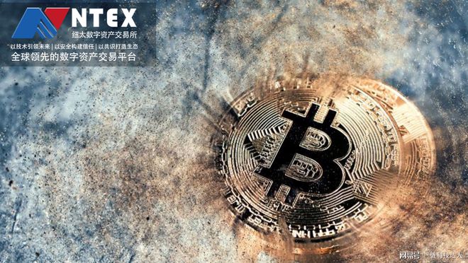 数字货币投资游离主流外，监管缺失致大资本难以有效参与